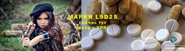 прущие грибы Белокуриха