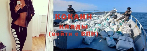 прущие грибы Белокуриха