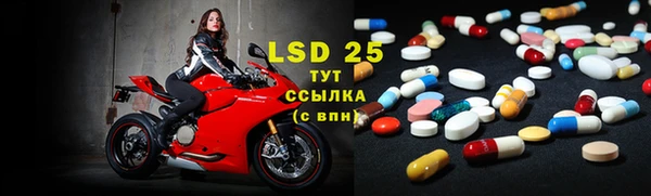 прущие грибы Белокуриха