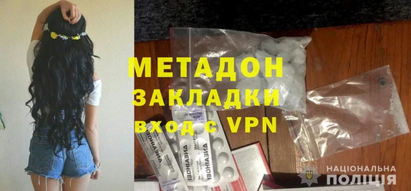 прущие грибы Белокуриха