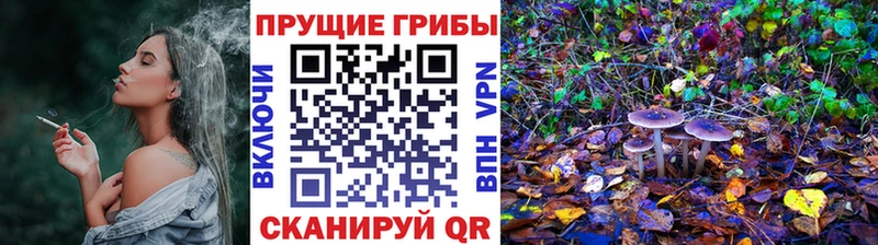 Галлюциногенные грибы мицелий  Холмск 